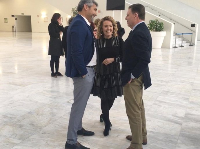 AV.- Mallada pide responsabilidades "caiga quien caiga" por el comportamiento "i