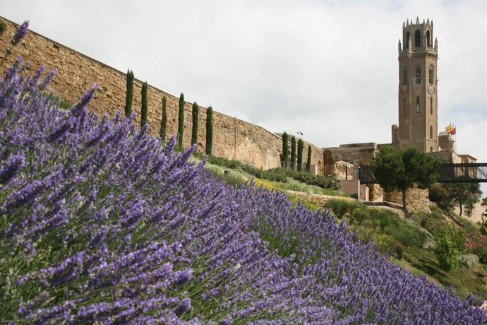 Batet recolza la candidatura a Patrimoni Mundial del Turó de la Seu Vella de 