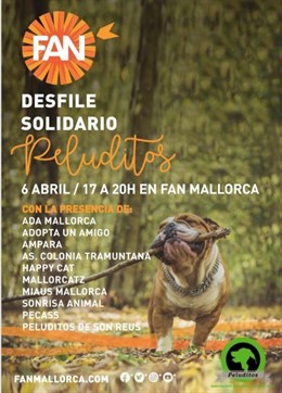 Organizan un desfile solidario de perros y gatos rescatados para buscar adoptant