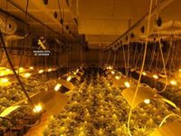 Tres detenidos al desmantelar una plantación de marihuana en una nave industrial de Ronda