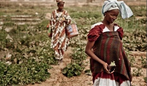 Cooperación y Desarrollo