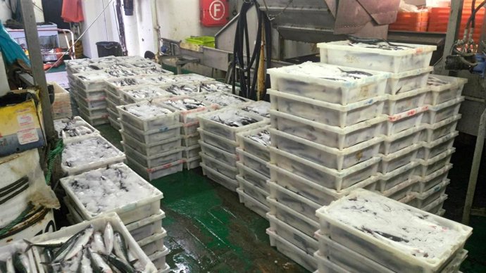 Retenido en el Puerto de Pasaia (Gipuzkoa) un pesquero portugués con 2.882 kg de