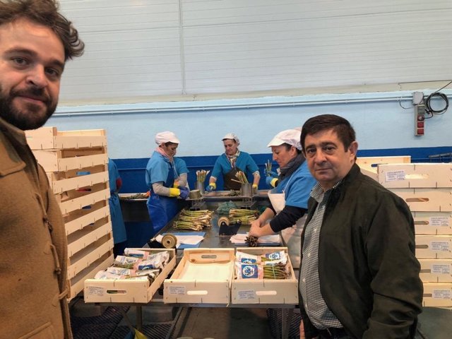 Jaén.- MásJaén.- El municipio de Bedmar y Garcíez inicia la campaña de recogida 