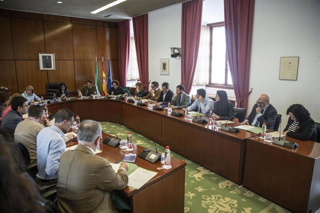 Vox preguntará a Moreno en el próximo Pleno del Parlamento sobre coordinación co