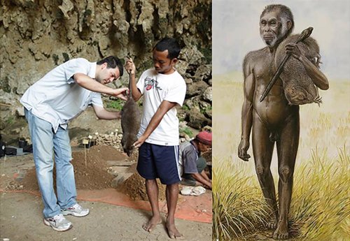 Cambios en el tamaño de ratas revelan el hábitat del homínido 'Hobbit'