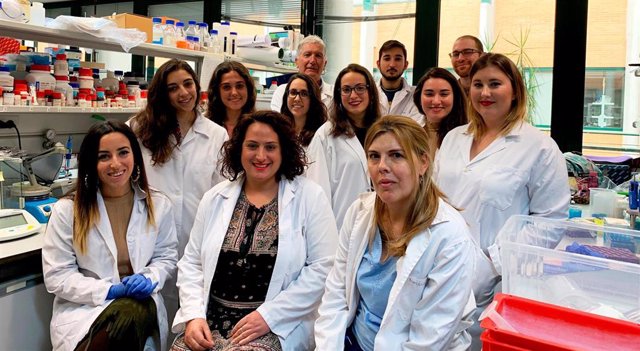 Sevilla.-Investigadoras de la UPO reprograman directamente a neuronas las célula