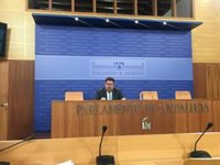 PSOE-A acusa al PP-A de "tener ya hechas" las conclusiones de la comisión de investigación sobre la Faffe