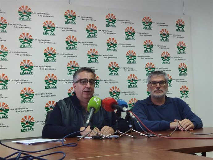 UPA-UCE Extremadura indica que en la campaña del aceite existe "una gran especul