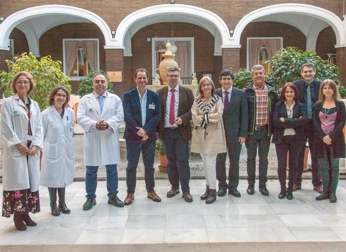 Sevilla.- Expertos en sistema de planificación de tratamientos de radioterapia d