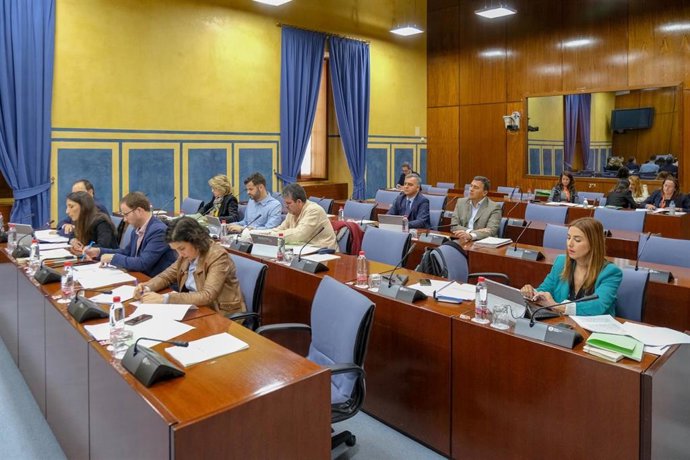 El Parlamento pide a Junta que ponga en marcha las medidas para crear los 600.00