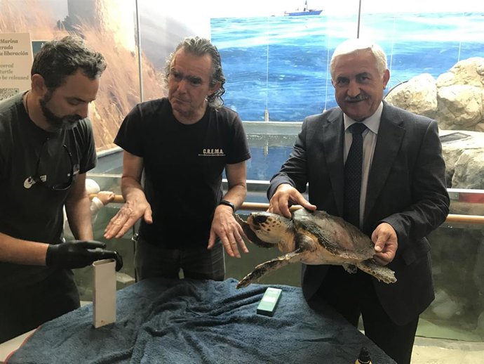 Málaga.- El Aula del Mar participa en 2018 en una treintena de actuaciones para 