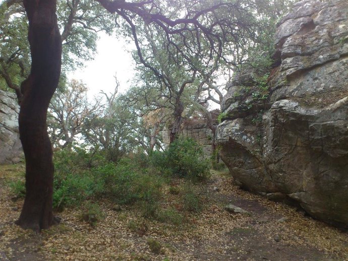 Cádiz.- La Junta controlará el uso público de Bacinete y tomará medidas para aca
