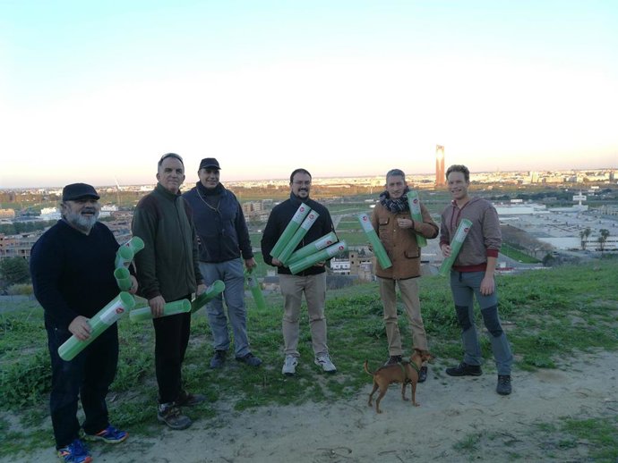 Plantación en el cerro del Carambolo