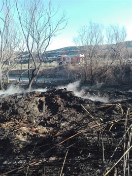 Granada.- Sucesos.- Un incendio afecta a dos hectáreas de una zona de olivos de 