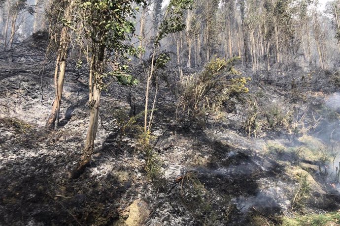 Más de 6.000 hectáreas de 51 municipios se quemaron en Cantabria en 15 días de f