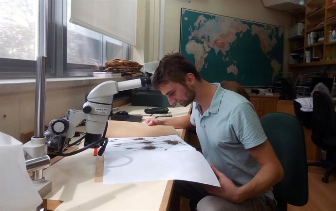 Un científico en su laboratorio