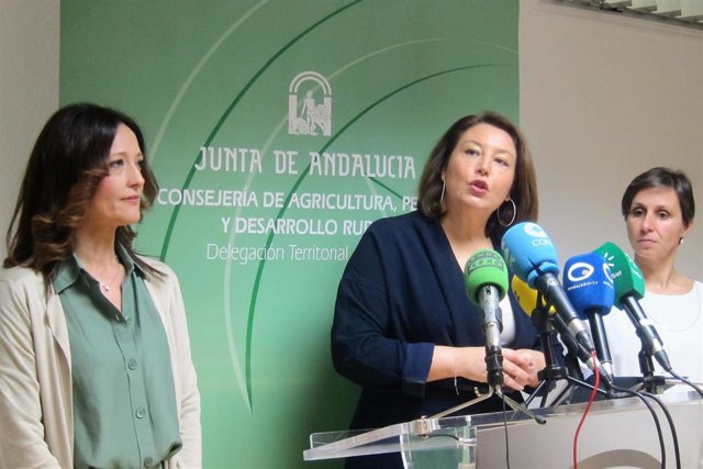 Agricultura elabora un informe sobre los efectos del Brexit ante posibles escena