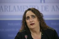 Adelante acusa a Marín de "dar un paso atrás" ante las "pretensiones" de Vox sobre trabajadores de violencia de género