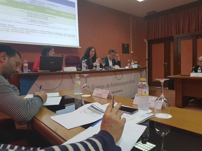 La Xunta ampliará en casi un mes el periodo hábil de caza de jabalís en la próxi