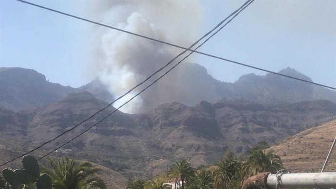 Sucesos.- Declarado un incendio en un palmeral de Fataga (Gran Canaria)