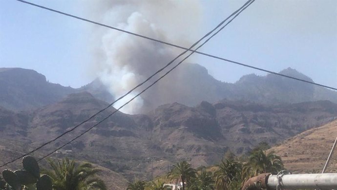 Sucesos.- Declarado un incendio en un palmeral de Fataga (Gran Canaria)