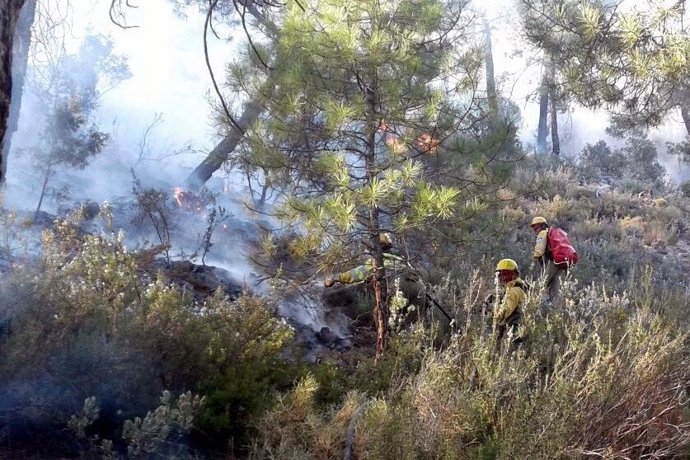 AMP.- Un incendio forestal en Paterna del Madera (Albacete) obliga a desalojar a