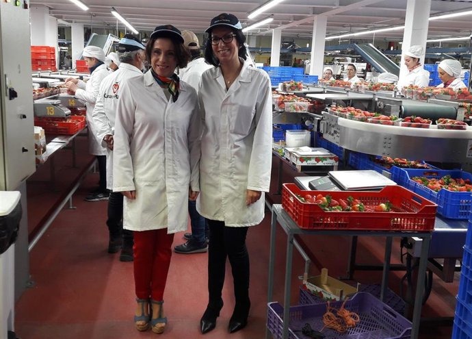 Huelva.- Rocío Ruiz destaca al sector de los frutos rojos como "ejemplo de integ