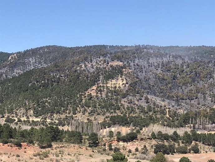 Incendios.- La UME se retira del incendio forestal declarado en Paterna del Made