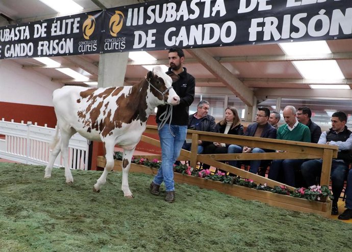Rural.- El conselleiro de Medio Rural anima en Curtis (A Coruña) a apostar por l