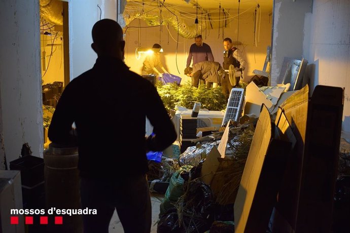 Sucesos.- Tres detenidos por asaltar una casa en Tarragona para robar una planta