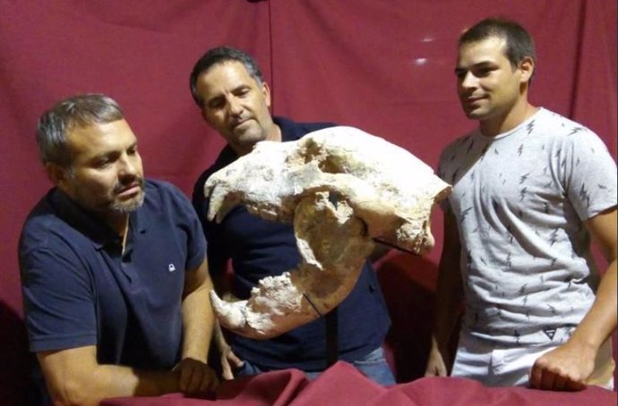 Hallan en Argentina los restos de un oso gigante con 700.000 años de antigüedad,