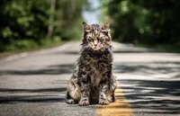 Primeras y positivas críticas de Cementerio de Animales: Una adaptación "salvaje" Stephen King