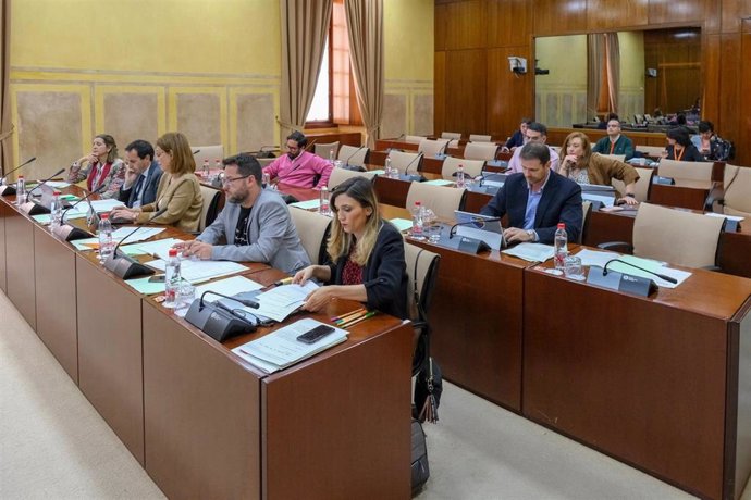 Memoria.- El Parlamento insta a Junta a llevar la Memoria a las aulas con la abs