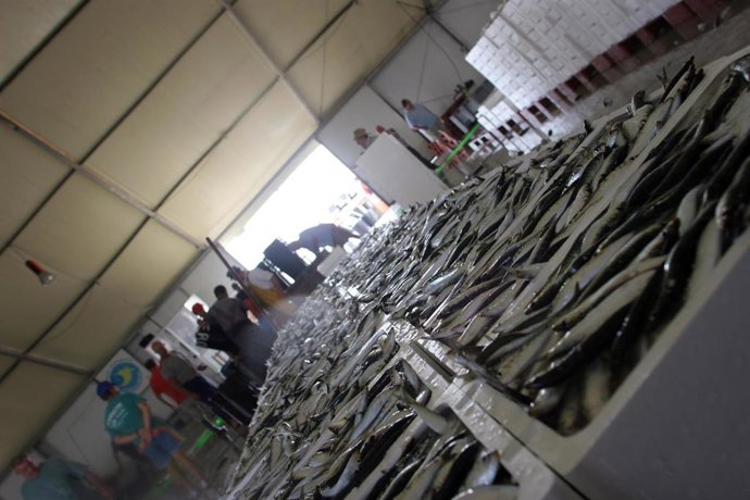 Pescadores de Huelva