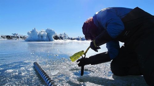 Actividad sísmica nocturna incesante en la plataforma de hielo antártica