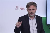 PSOE-A alerta de que "miedo da" lo que puede hacer el Gobierno de Moreno con la Dependencia
