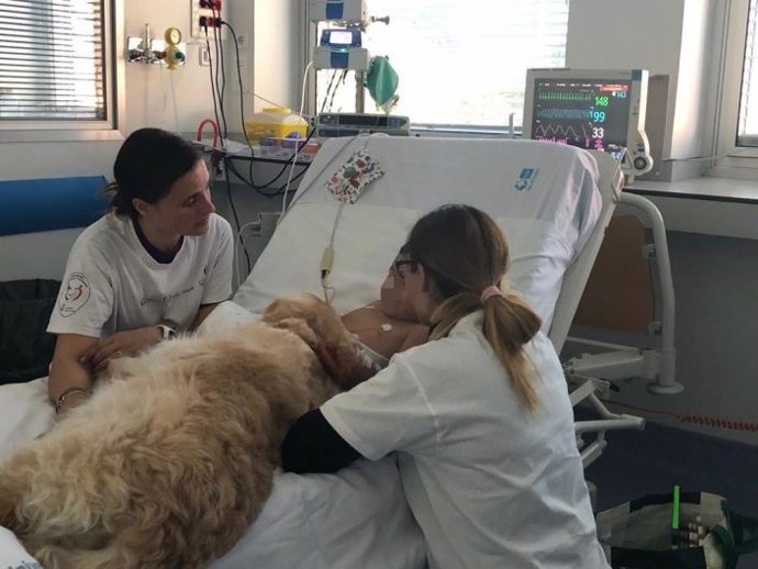 El Hospital 12 de octubre comprueba que la terapia asistida con perros puede red