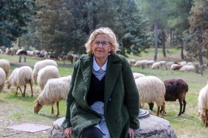 La alcaldesa de Madrid, Manuela Carmena, visita el rebaño de ovejas en la Glorieta de Moreras, en la Casa de Campo