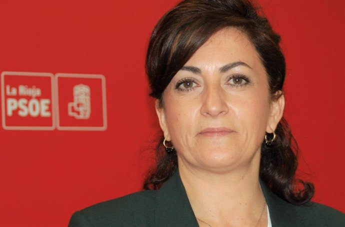 El PSOE califica de "mala gestión" la realizada por el Gobierno en materia de re