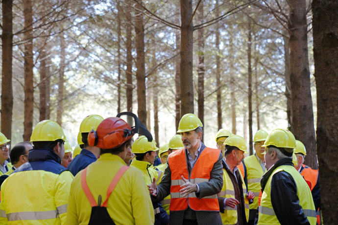 El Rey Felipe VI preside el acto central del Día Internacional de los Bosques en Boqueixón (A Coruña)