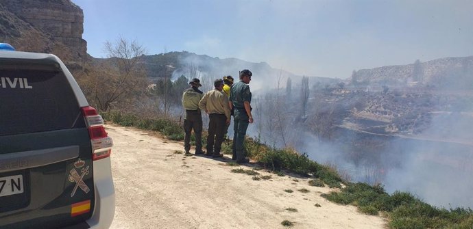Granada.- Sucesos.- Dos investigados por incendios en el Parque Natural de Sierr