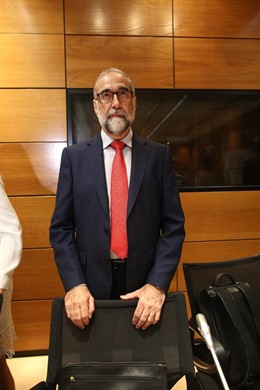 El consejero de Salud de Navarra,Fernando Domínguez Cunchillos