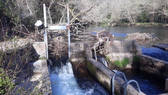 La Coordinadora Ecoloxista reclama al Principado la limpieza del río Esva