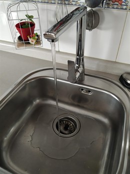 Grifo en un hogar de Cáceres