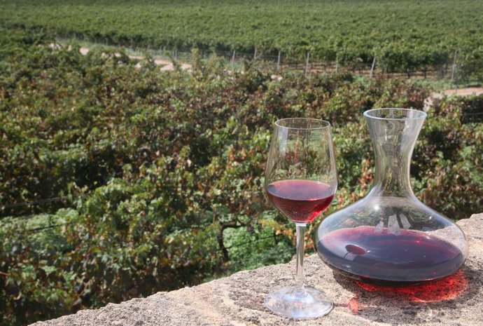 Les exportacions de vi balear a la Unió Europea augmenten un 13 per cent en