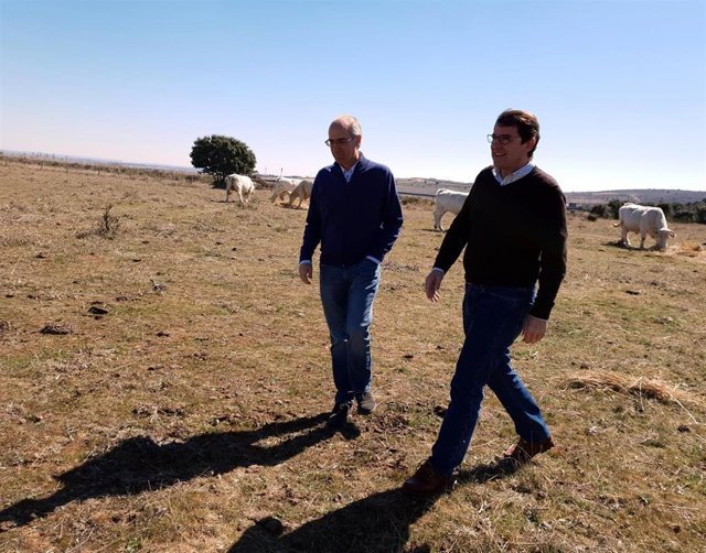 28A.- Mañueco Reitera Su "Compromiso" Con La Propuesta De La Presidenta Del PP D