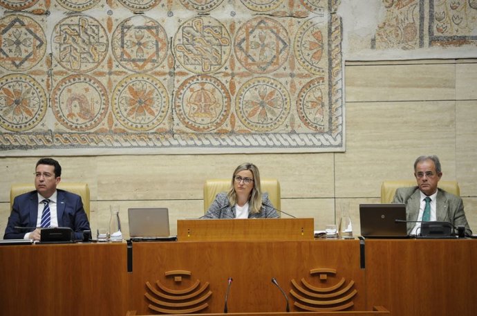 Blanca Martín despide el último pleno de la legislatura reivindicando el trabajo