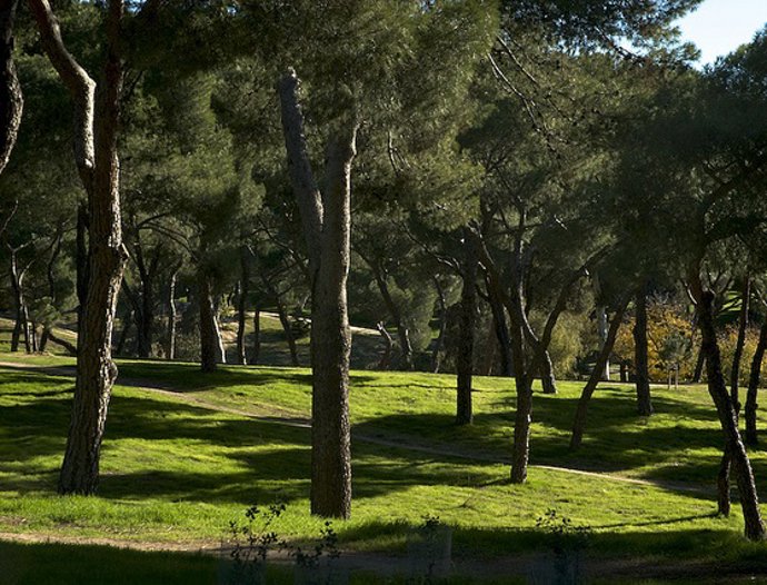 Luz verde al plan director de la Dehesa de la Villa para ponerlo al día a lo lar