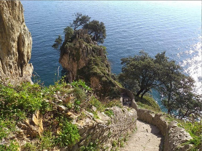 Cs alerta de la falta de mantenimiento de recursos turísticos del Parque de las 