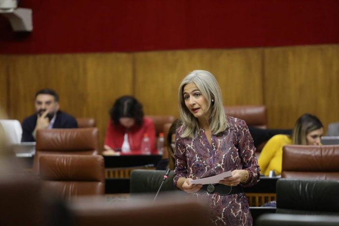 Junta anuncia la apertura de una línea de ayudas para la restauración y conserva